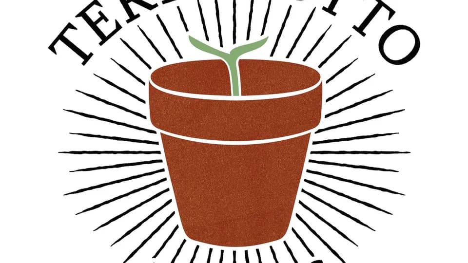 Terracotto Plants plant shop in Chicago, Illinois