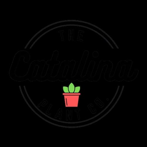 The Catalina Plant Co. plant shop in Chicago, Illinois