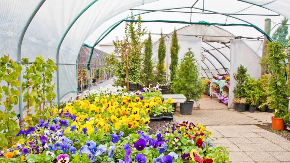 Urban Pothos Houseplant Shop plant shop in Raleigh, North Carolina