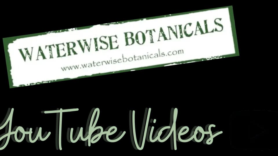 Waterwise Botanicals plant shop in Bonsall, California